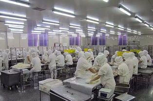 食品廠空氣環(huán)境無菌凈化方案及消毒滅菌技術(shù)應(yīng)用開發(fā)指南